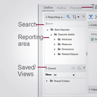 View of Sage Intacct’s ICRW features